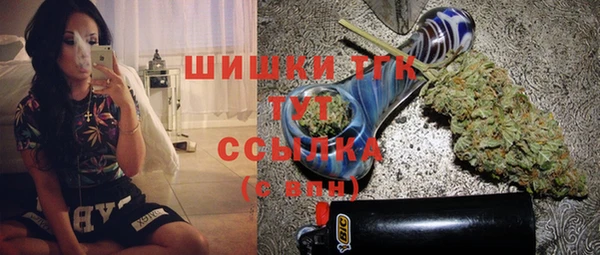 гидропоника Каменка