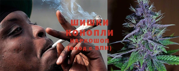 гидропоника Каменка