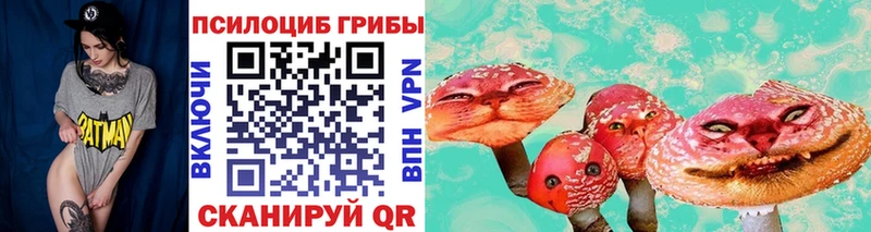 Галлюциногенные грибы мицелий  Новомосковск 