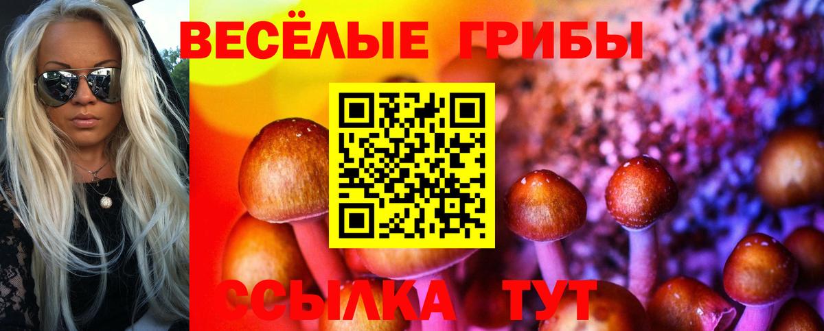 Галлюциногенные грибы прущие грибы Новомосковск