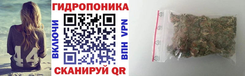 закладка  Новомосковск  Бошки Шишки конопля 